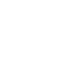 Icône de document blanc avec pli d'angle et texte PDF noir au centre.